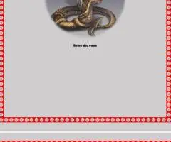 Livres ésotériques ( Arabe français )
